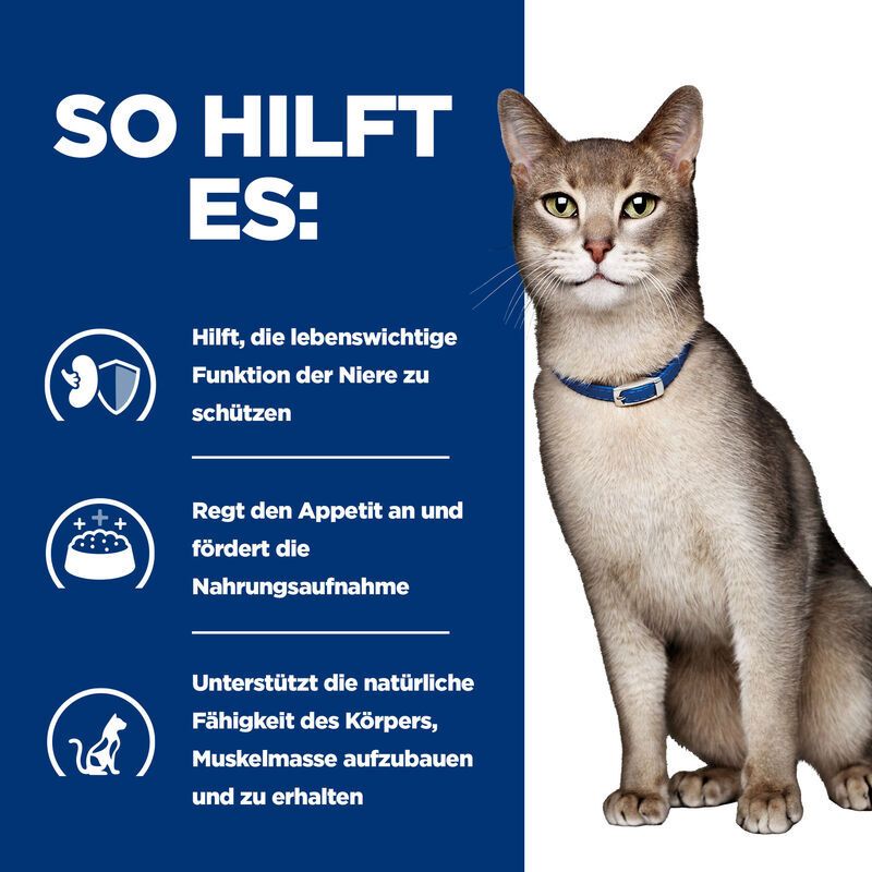 Hill's Prescription Diet Feline K/D Kidney Care Zalm