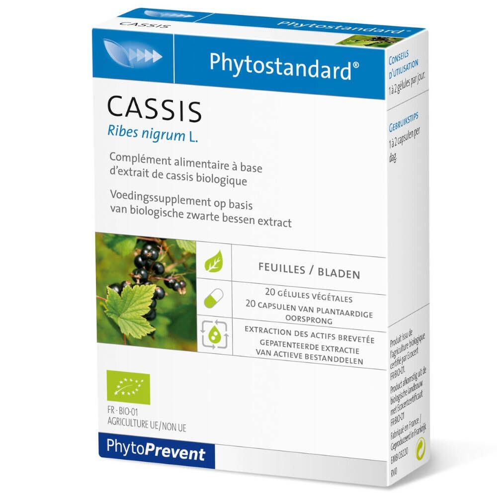 Doosje "CASSIS Phytostandard". Bevat 20 capsules. Biologisch gecertificeerd. Ingrediënten en voedingswaarde.