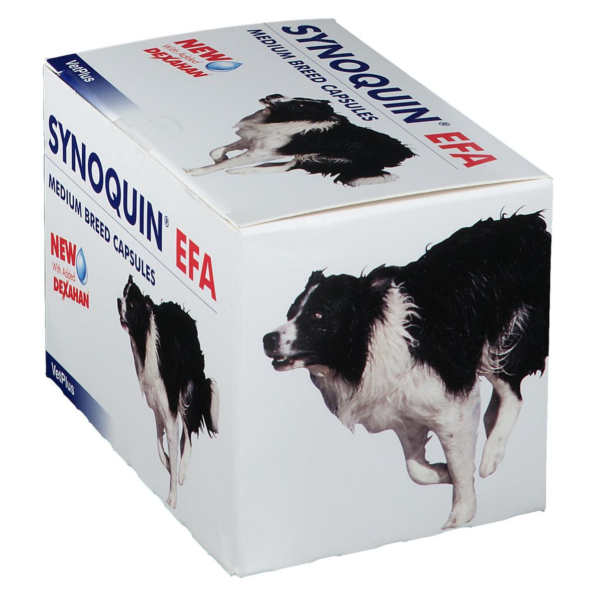 Synoquin Efa Chien Medium Breed
