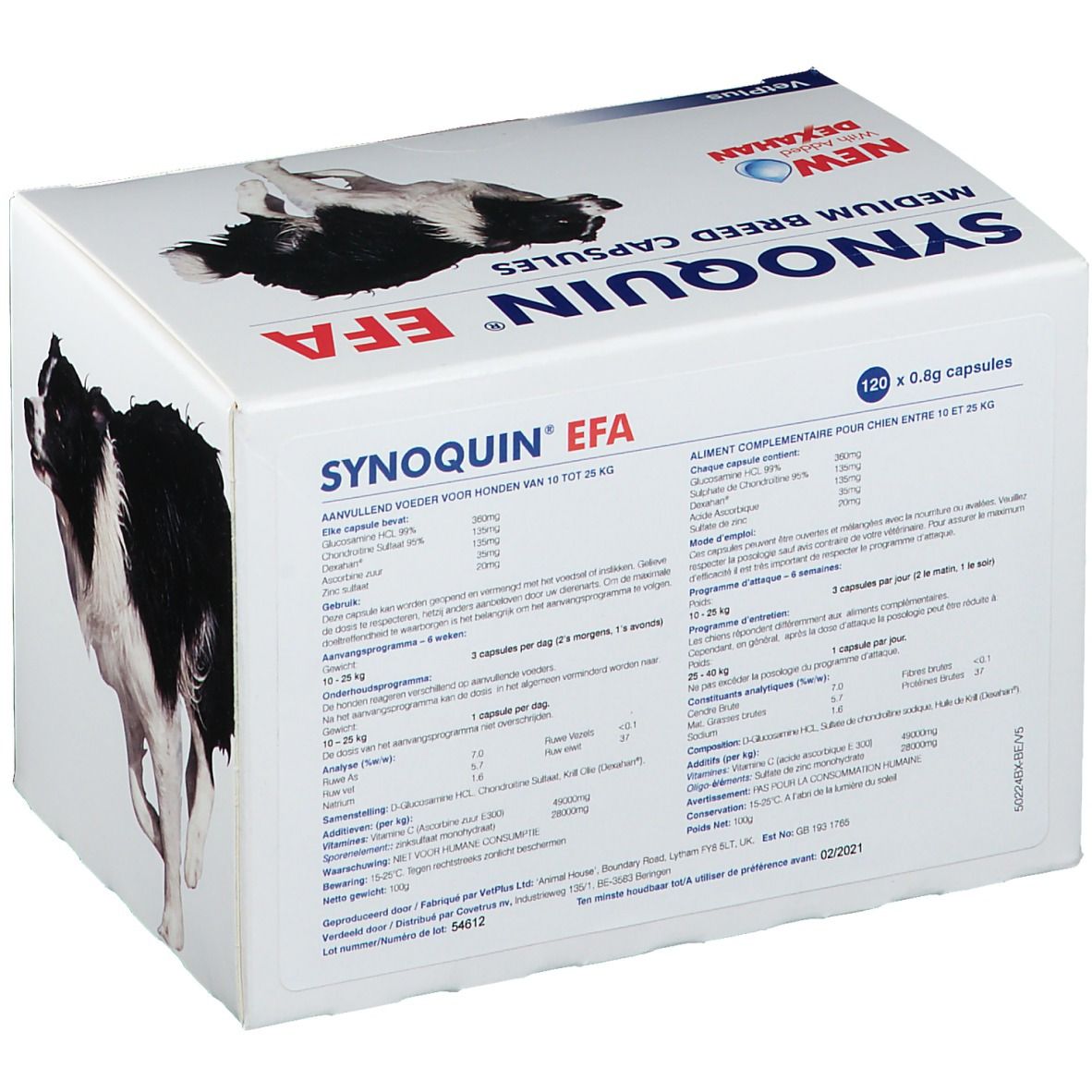 Synoquin Efa Chien Medium Breed