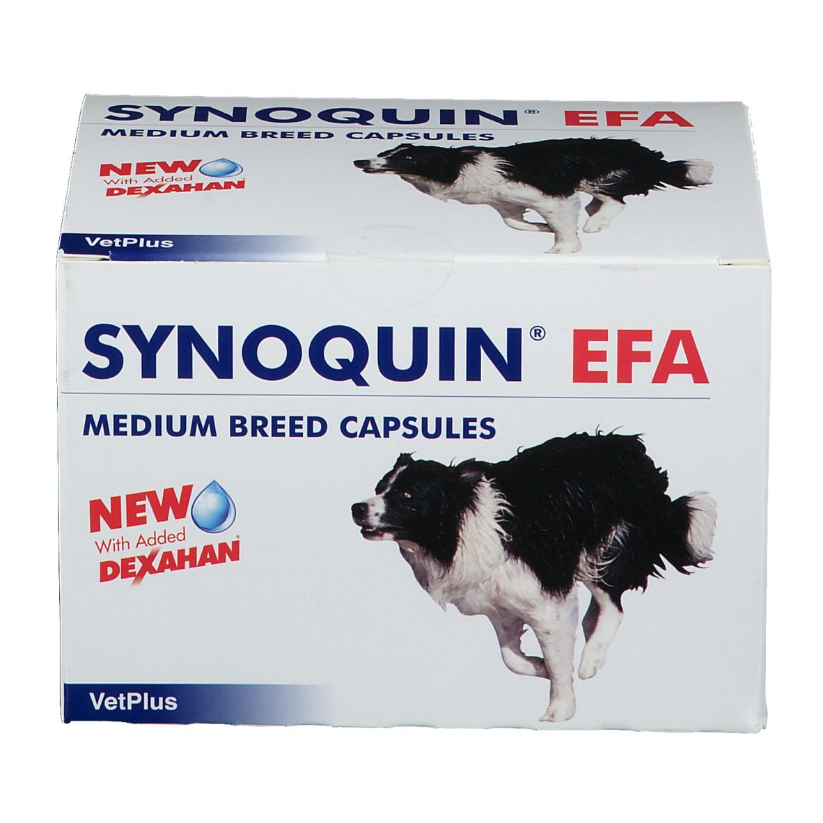 Synoquin Efa Chien Medium Breed