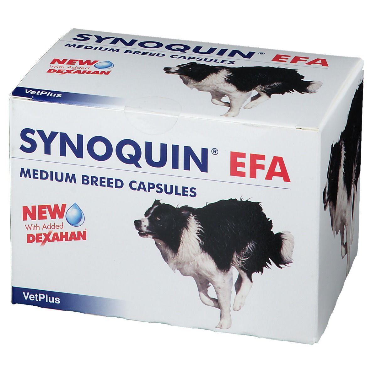 Synoquin Efa Chien Medium Breed