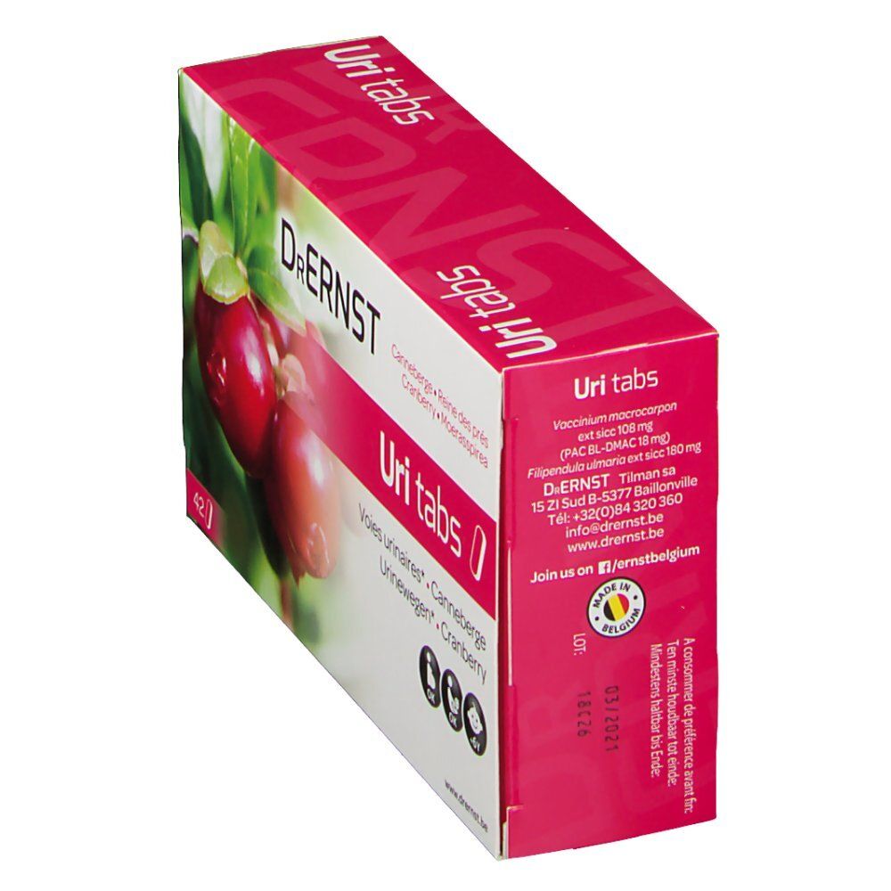 Boîte de Dr. Ernst Uritabs en biais. Inscriptions: Canneberge, Reine des prés, Voies urinaires, Cranberry. Contient 42 comprimés. Détails et ingrédients.