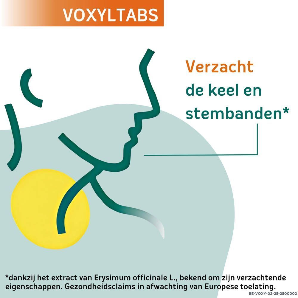 Naturactive VoxylTabs