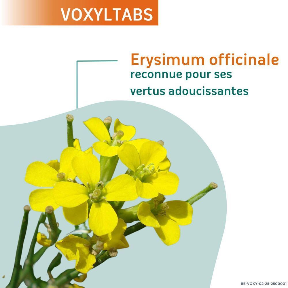 Naturactive VoxylTabs