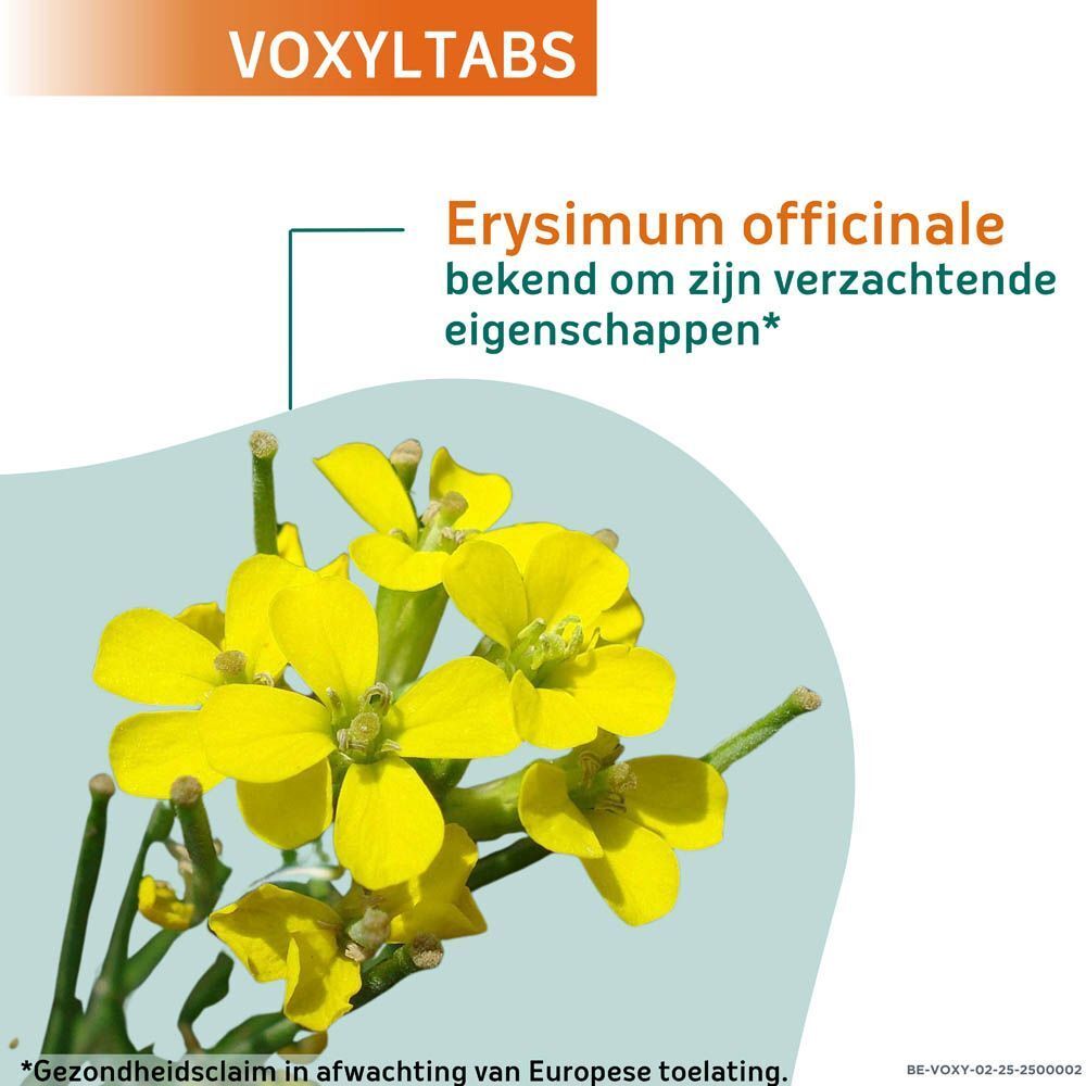 Naturactive VoxylTabs