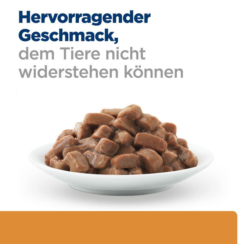 Hill's Prescription Diet Feline K/D Kidney Care Beef