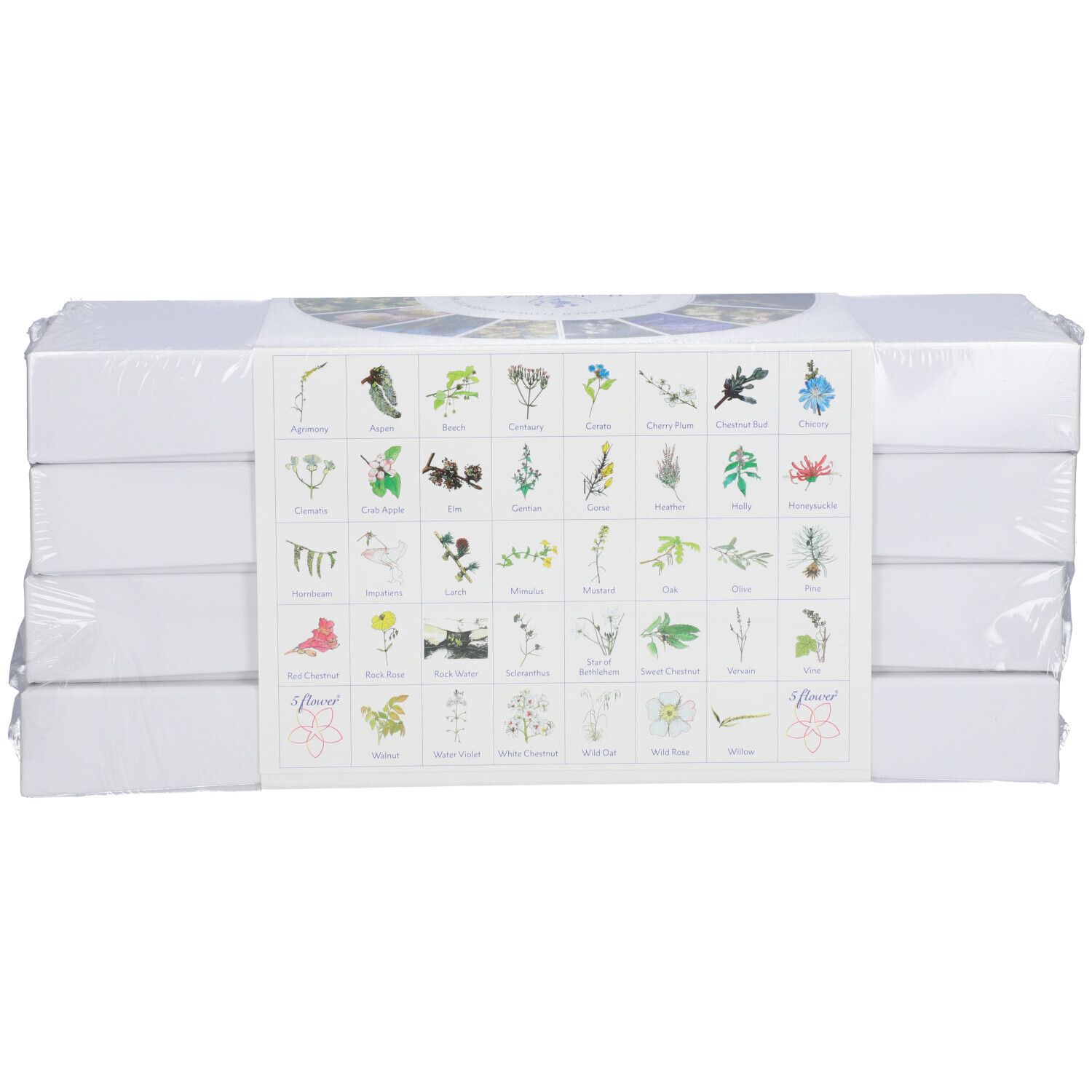 Emballage de fleurs de Bach. Illustration de fleurs. Inscription: Healingherbs Original Bach Flowers. 38 essences florales + 2.
