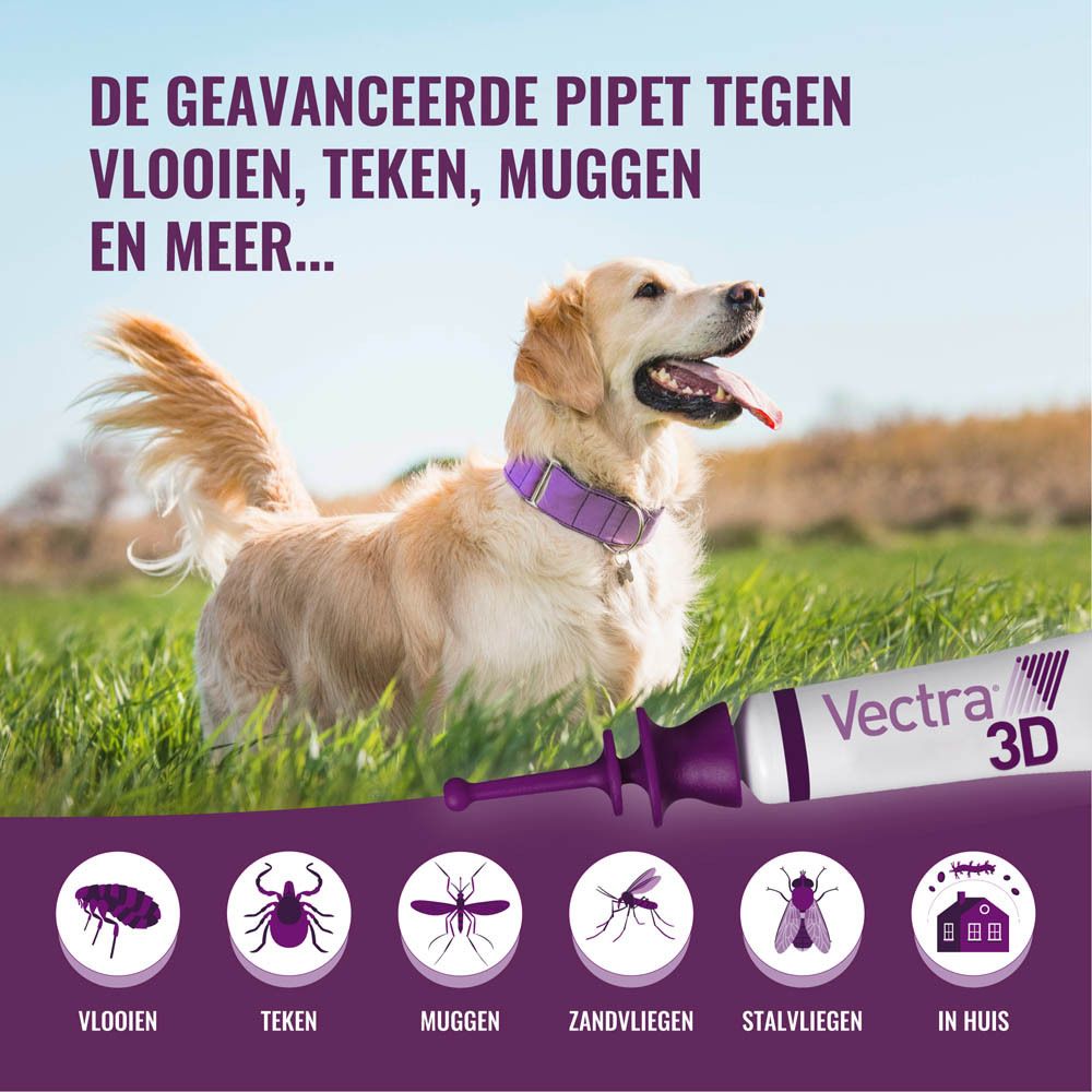 Vectra 3D verpakking. Afbeelding van een hond. Toont bescherming tegen parasieten.