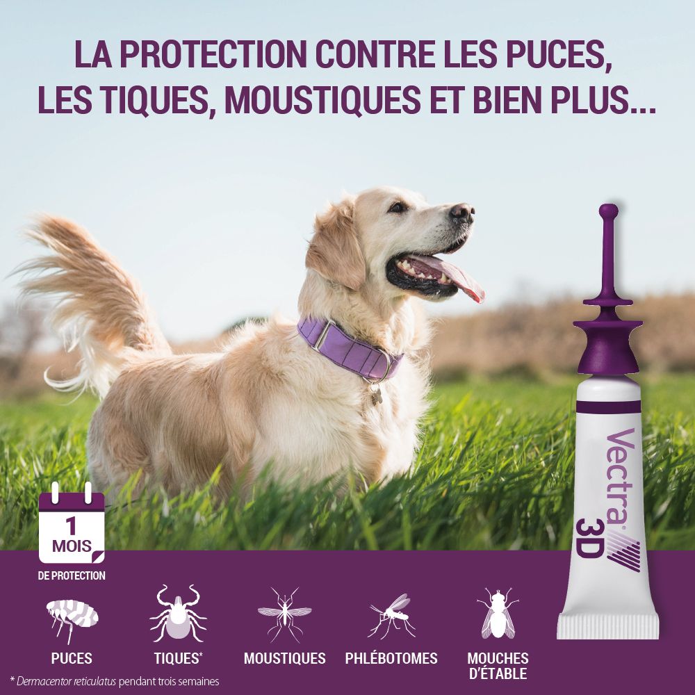 Boîte Vectra 3D. Image d'un chien. Produit vu de côté.