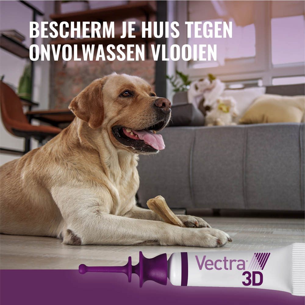 Achterkant van de Vectra 3D verpakking. Meertalige tekst. Bevat waarschuwingen.