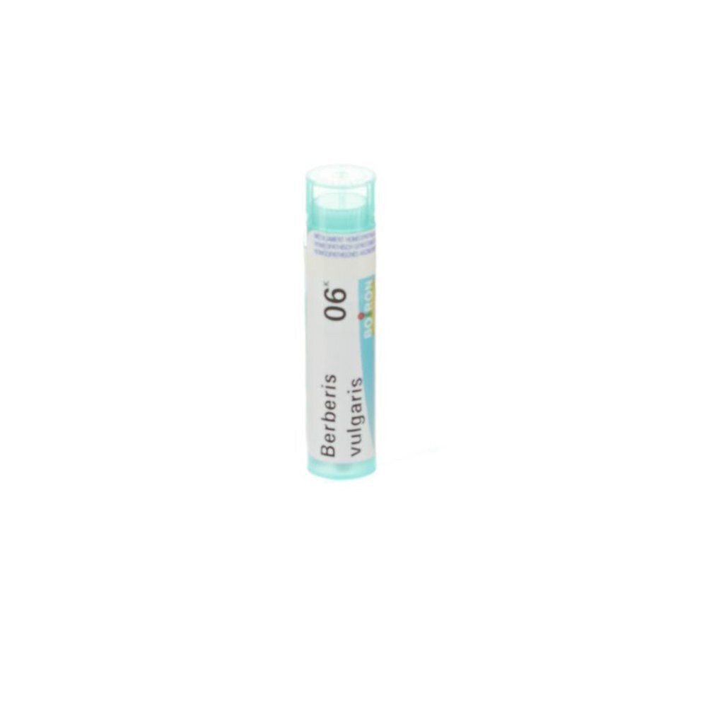 Tube de globules homéopathiques. Inscription : Berberis vulgaris 06. Bouchon turquoise.