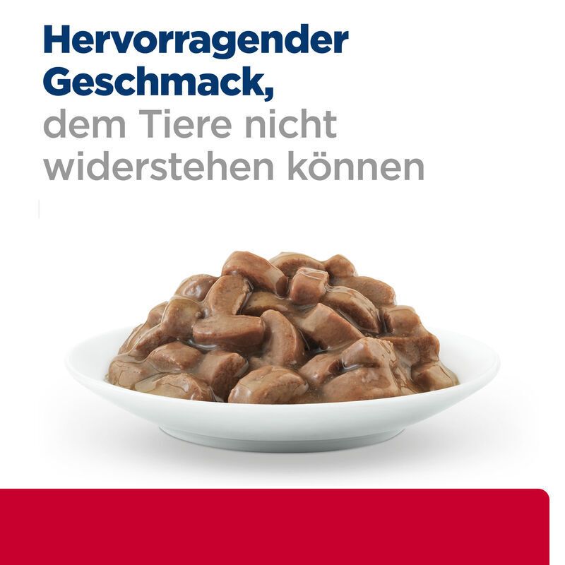 Hill's Prescription Diet C/D Urinary Stress Feline met Zalm