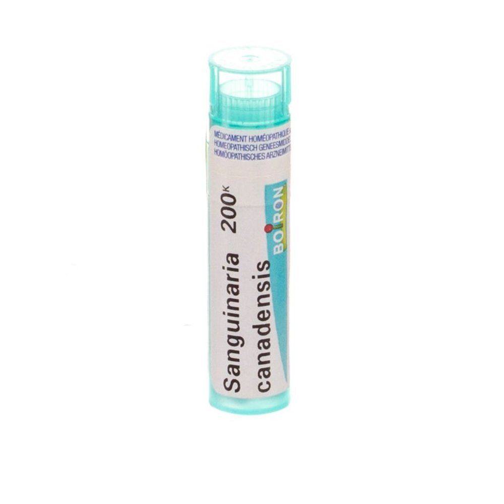 Tube en verre contenant un médicament homéopathique. Inscription : Sanguinaria canadensis 200K, Boiron.