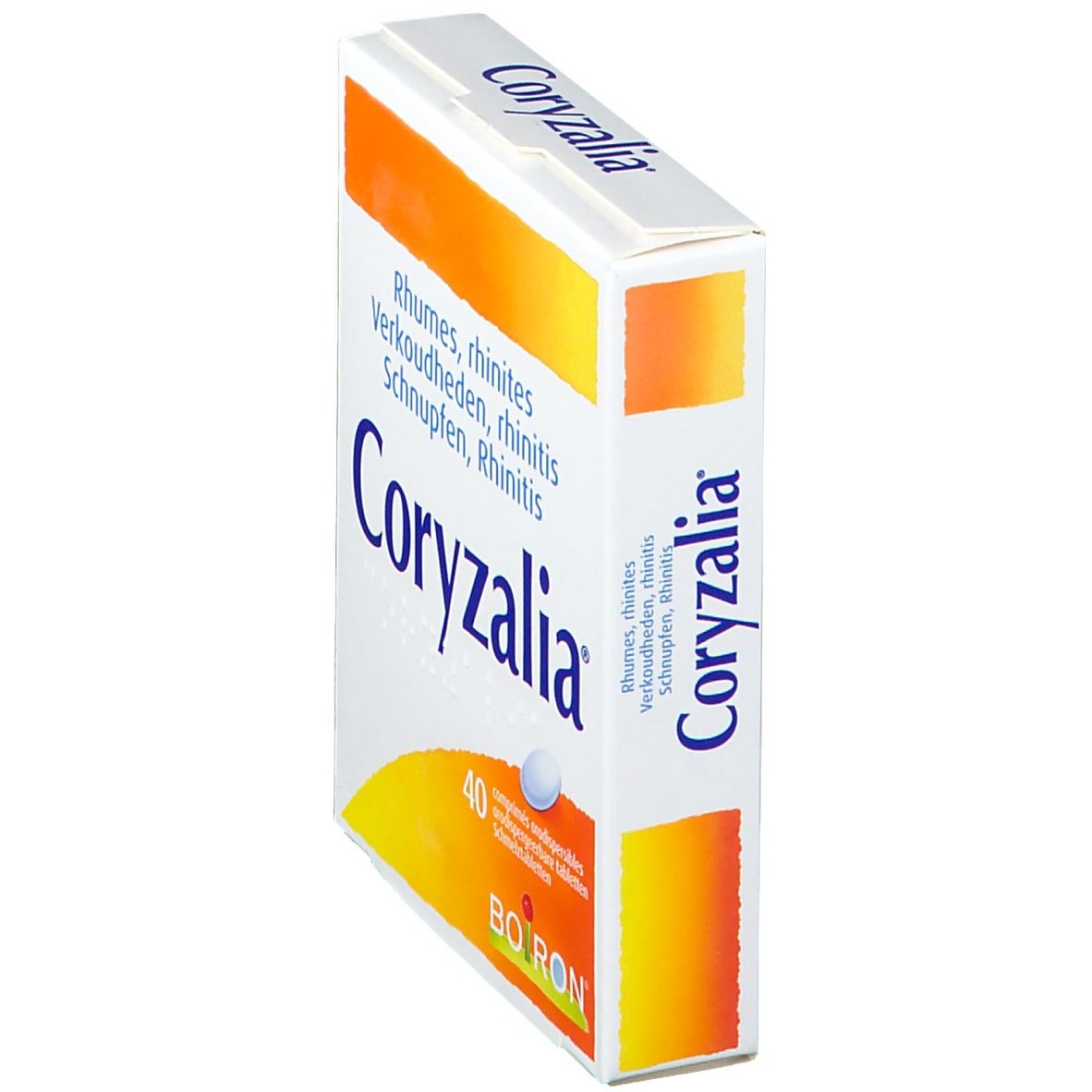 Coryzalia