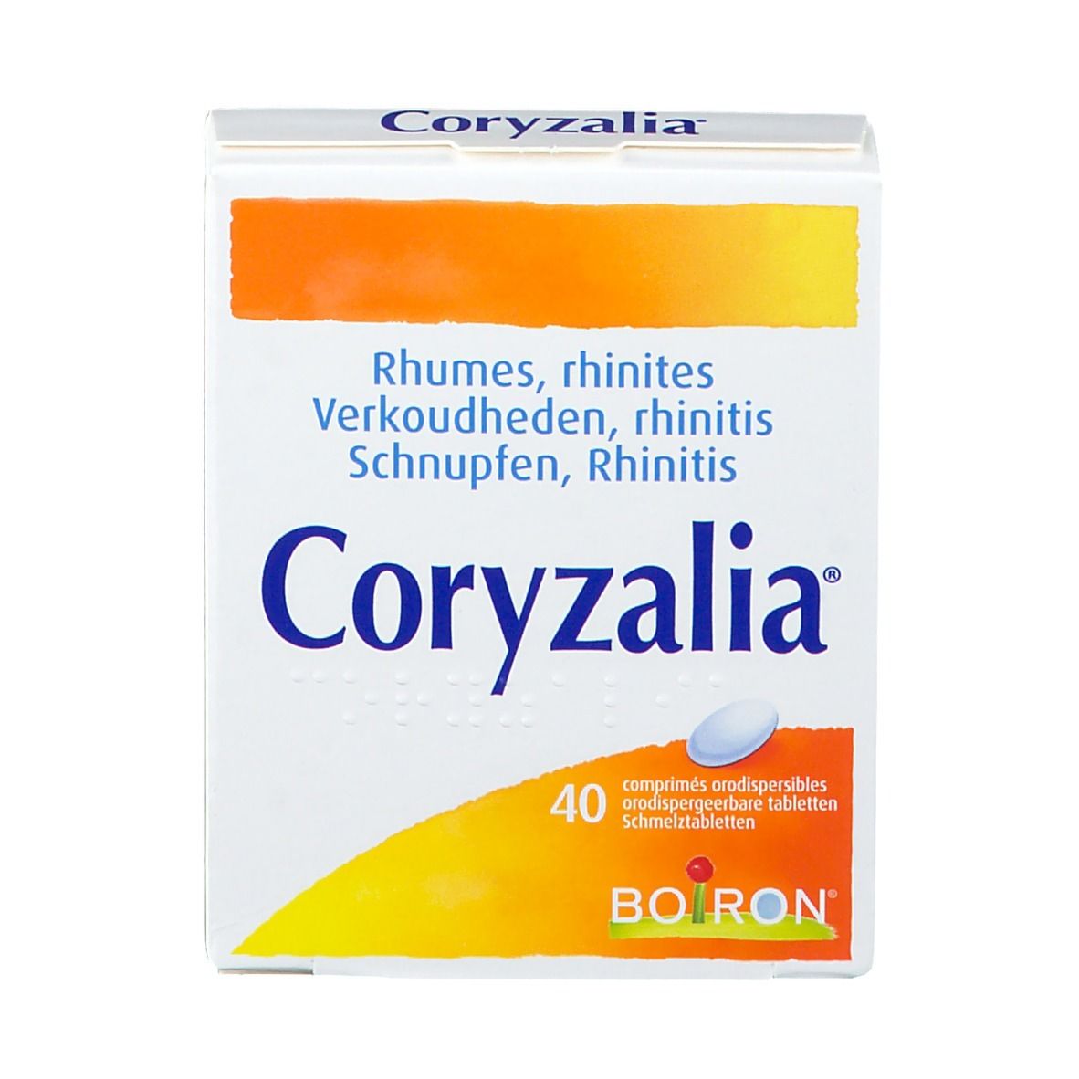 Coryzalia