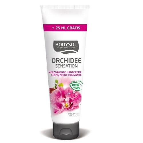 Bodysol Crème Mains Orchidée Promo