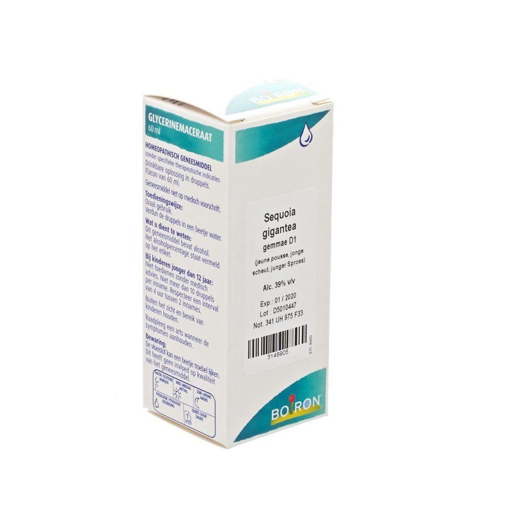 Witte doos met productinformatie. Opschrift: Sequoia gigantea gemmo D1. Merk: Boiron. Druppelsymbool.