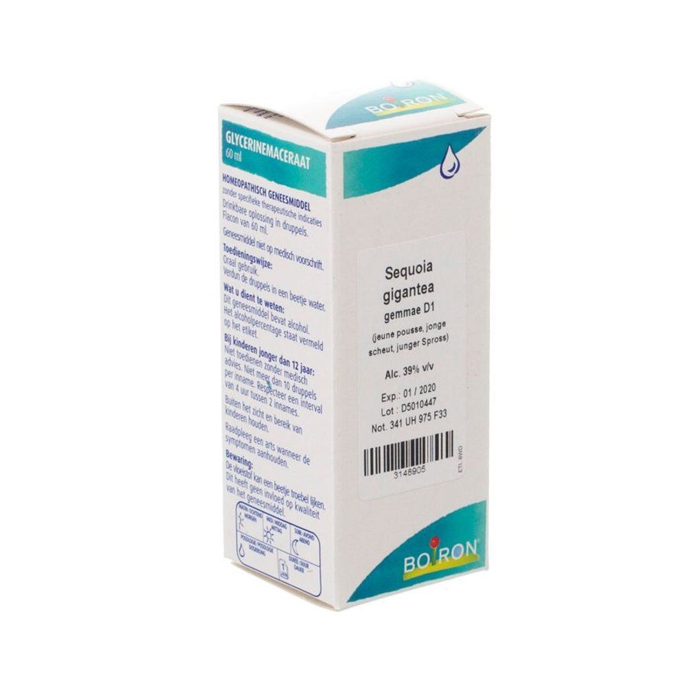 Boîte blanche avec informations produit. Inscription: Sequoia gigantea gemmo D1. Marque: Boiron. Symbole goutte.