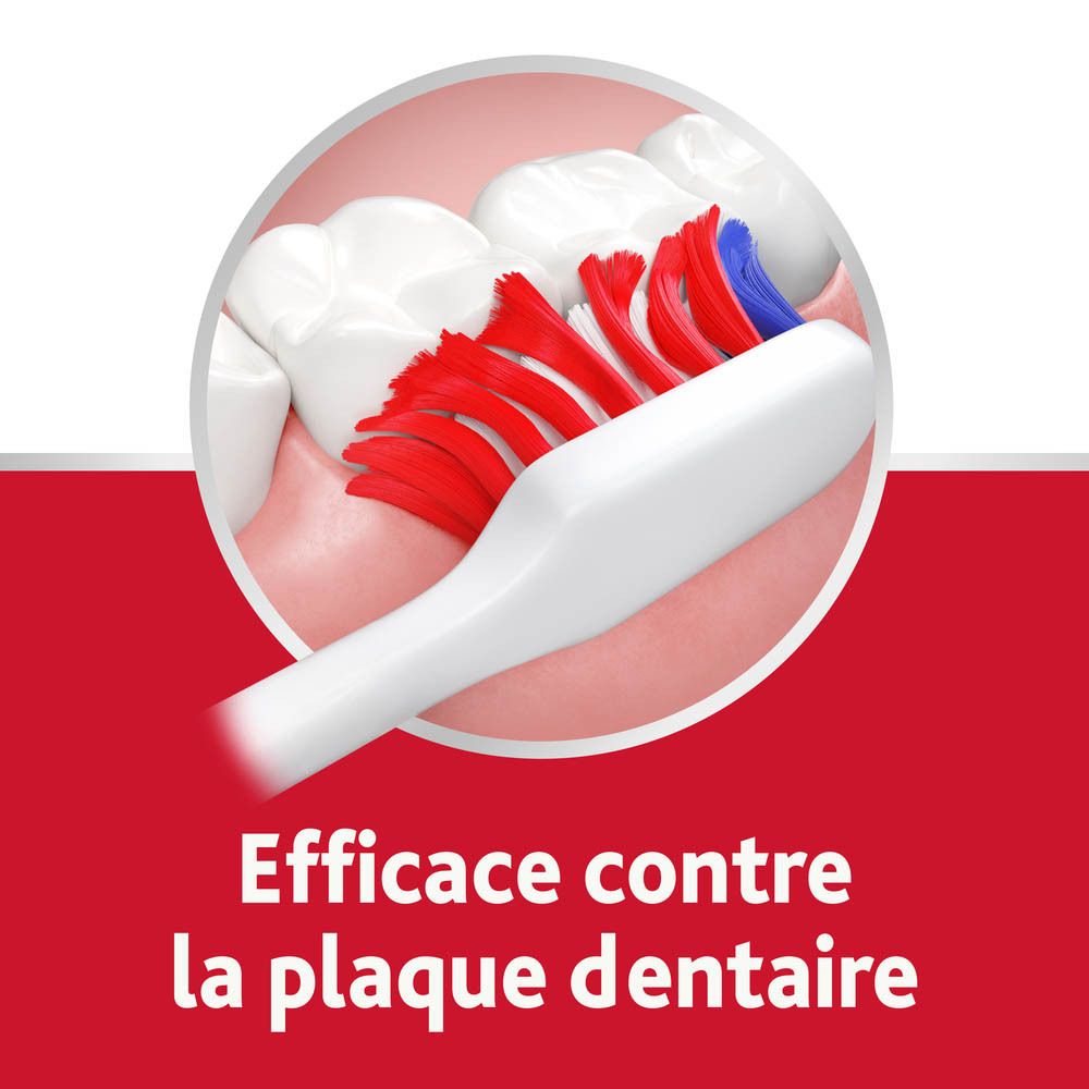 Brosse à dents dans la bouche. Soies rouges et bleues. Texte : Efficace contre la plaque dentaire.