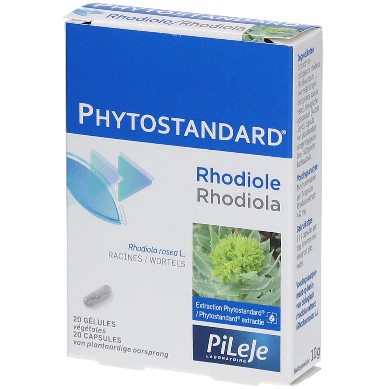 Phytostandard Rhodolia