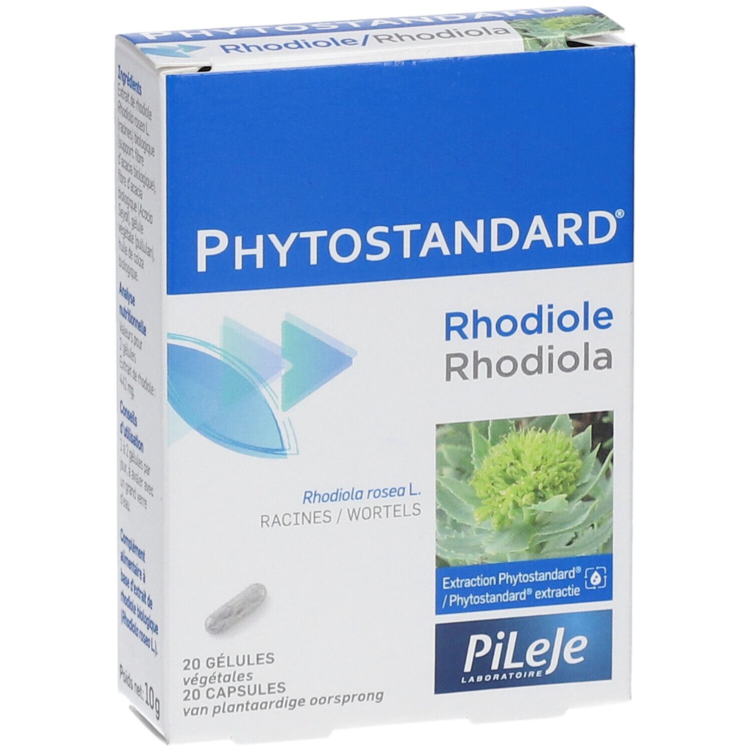 Phytostandard Rhodolia