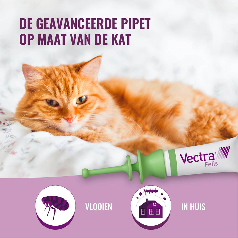 Kat liggend op deken. Spot-on applicator ernaast. Tekst: Vlooien, In huis. Productnaam op de tube.