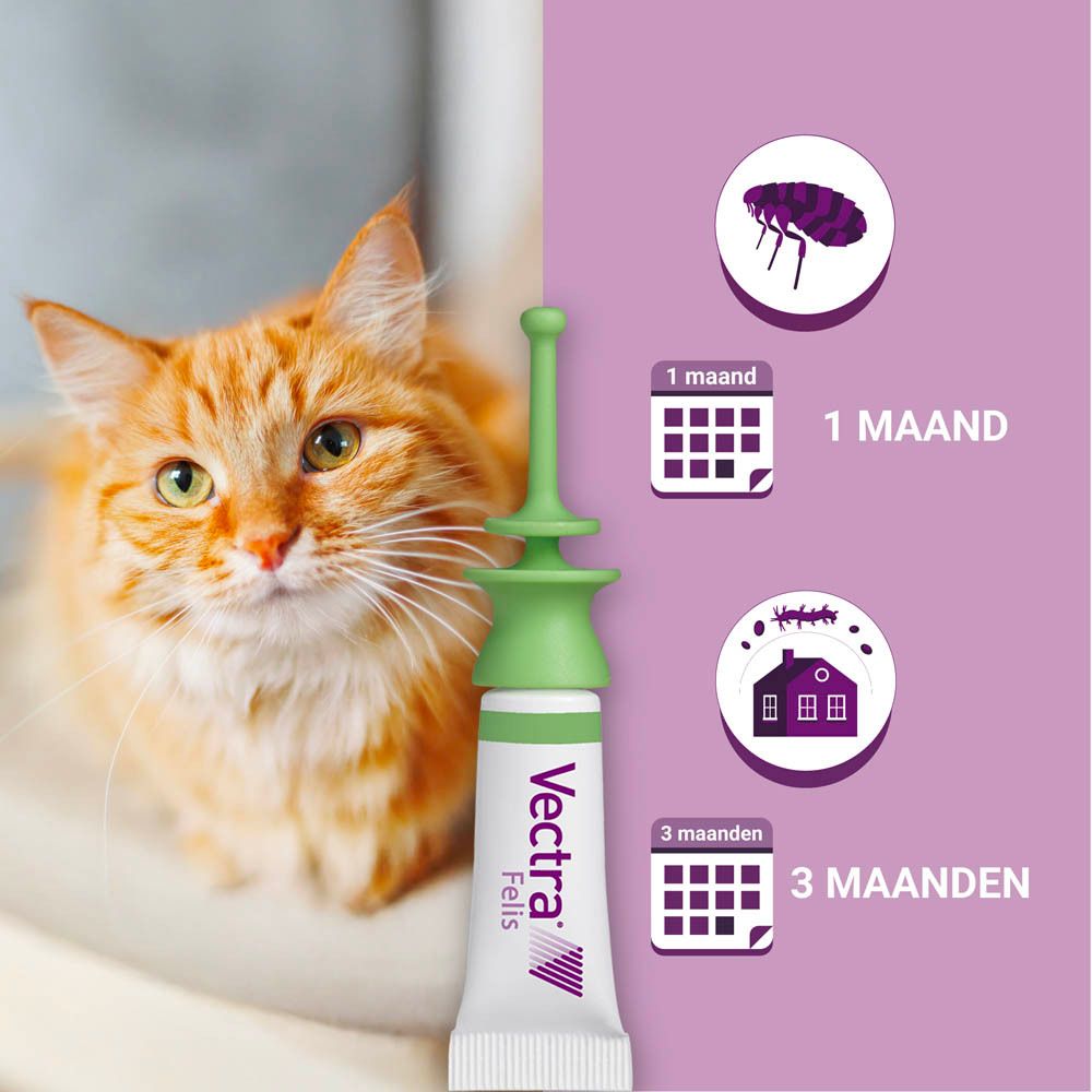 Kat met spot-on applicator. Kalender iconen voor 1 en 3 maanden. Productnaam op de tube.