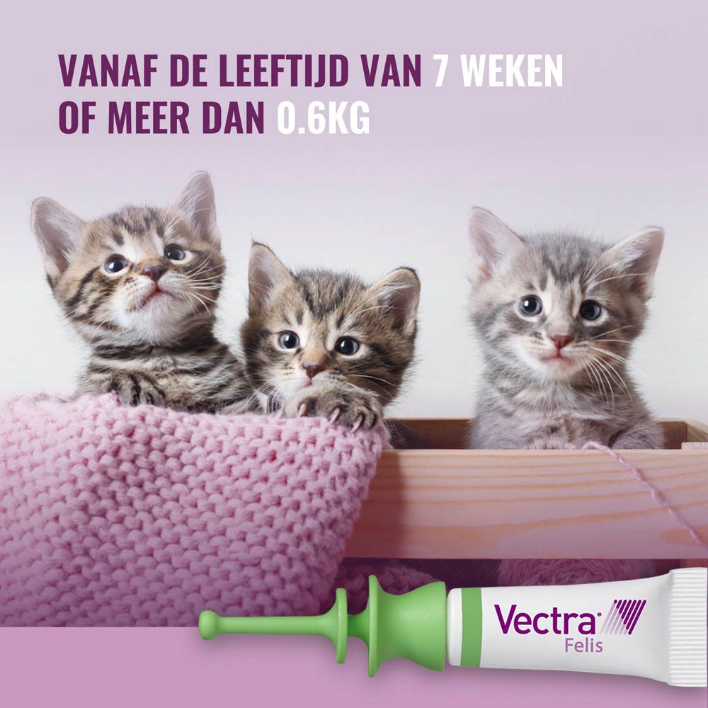 Drie kittens in houten kist. Spot-on applicator ernaast. Tekst: vanaf de leeftijd van 7 weken of meer dan 0.6kg. Productnaam op de tube.