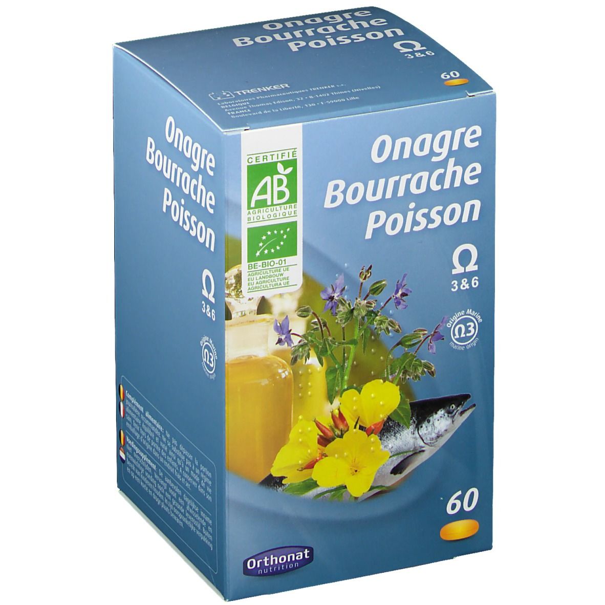 Onagre bourrache poisson