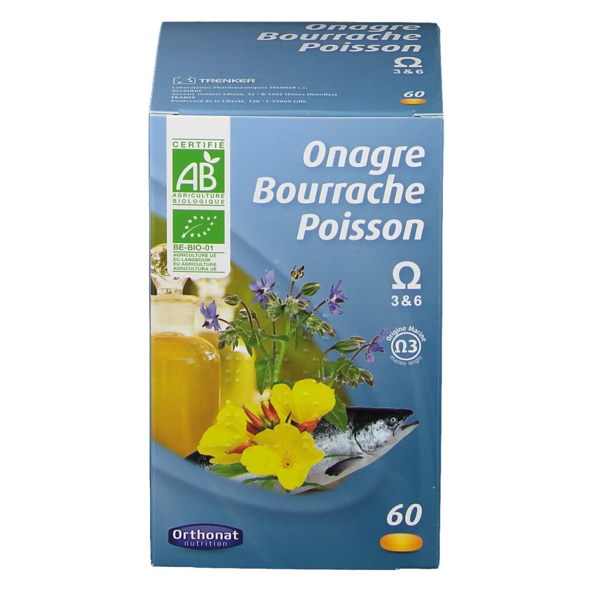 Onagre bourrache poisson