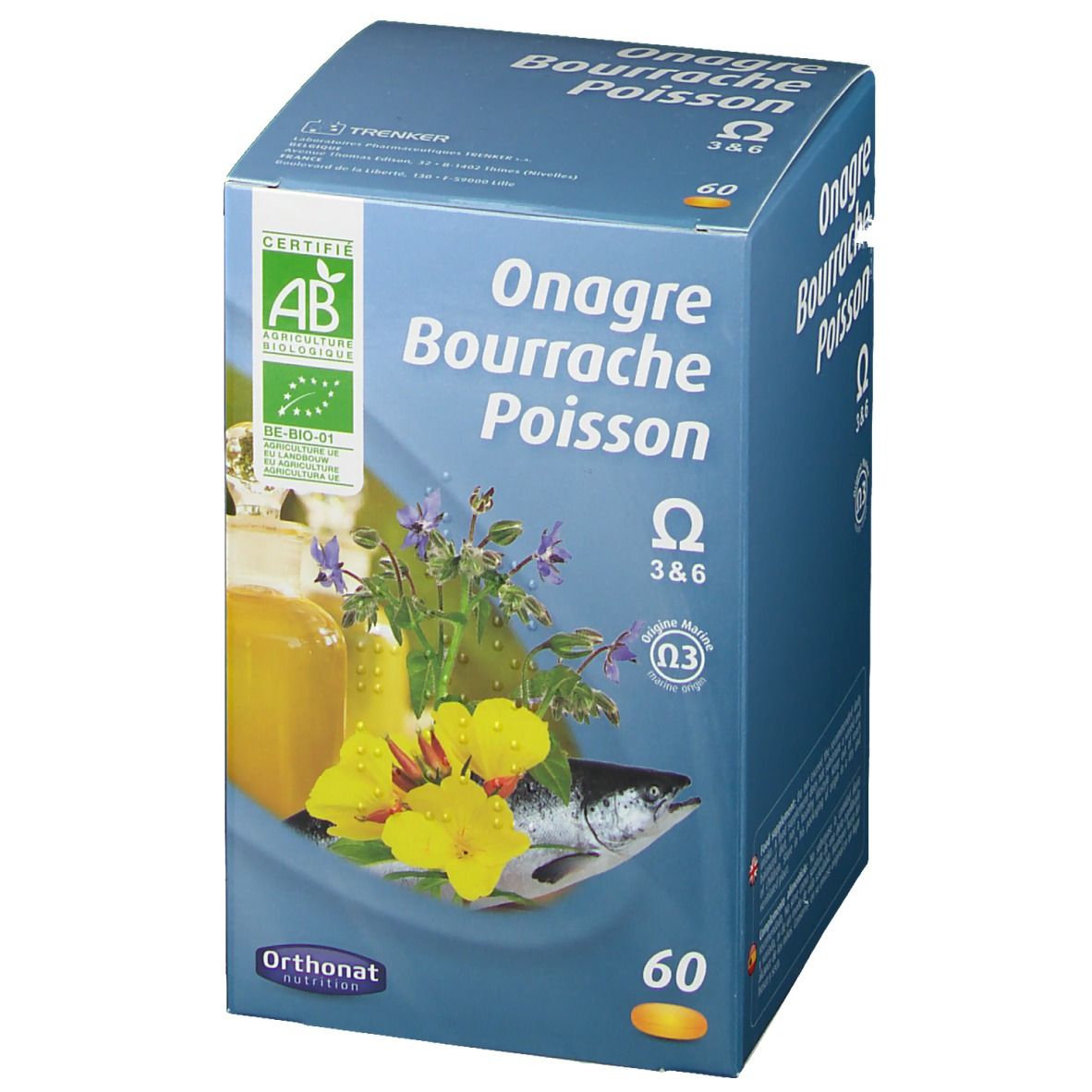 Onagre bourrache poisson