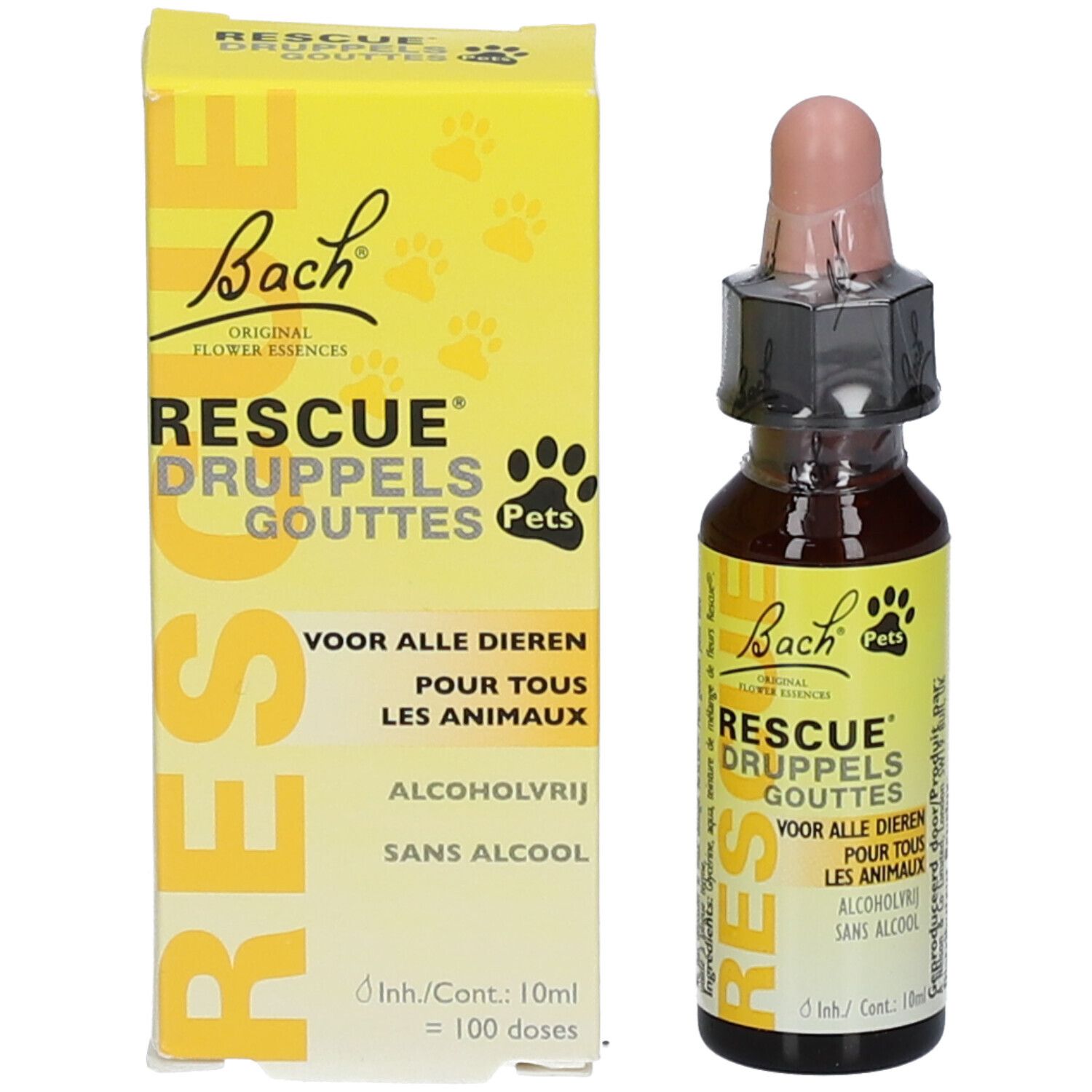 Bach Rescue Pets