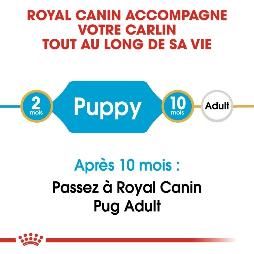 Avant d'un sac de nourriture pour chiot Royal Canin Pug, avec illustrations pour "Soutien du système immunitaire" et "Peau saine".