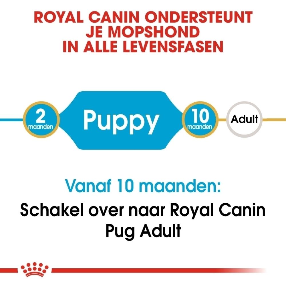Voorkant van een verpakking Royal Canin Pug Puppy hondenvoer, met illustraties voor immuunondersteuning en gezonde huid.