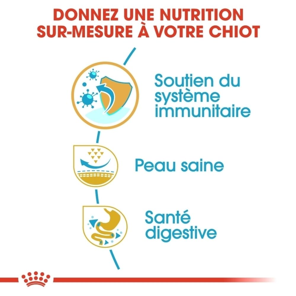 Graphique d'un sac de nourriture pour chiot Royal Canin Pug, montrant les phases d'alimentation de 2 à 10 mois.
