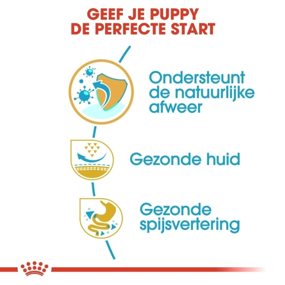 Grafiek van een verpakking Royal Canin Pug Puppy hondenvoer, die de voedingsfasen van 2 tot 10 maanden toont.