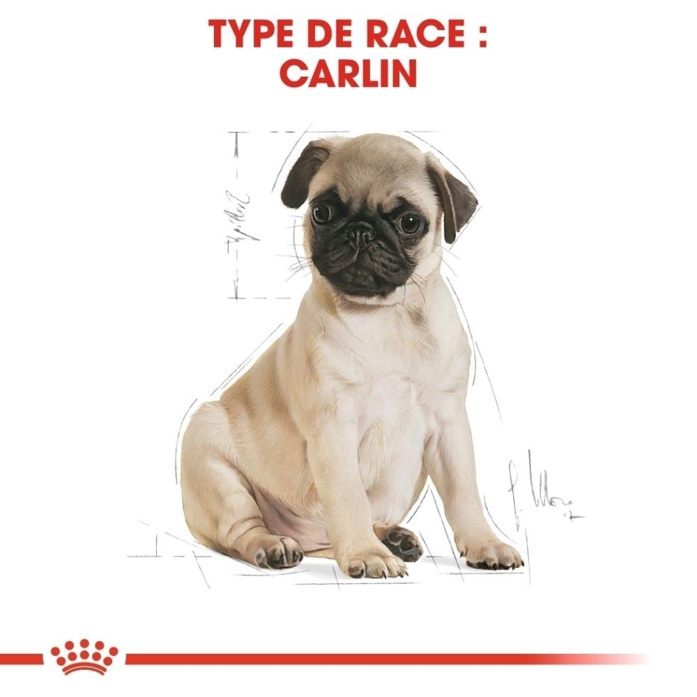 Gros plan d'une forme de croquette pour nourriture pour chiot Royal Canin Pug, avec le texte "Tailor-Made Kibble".