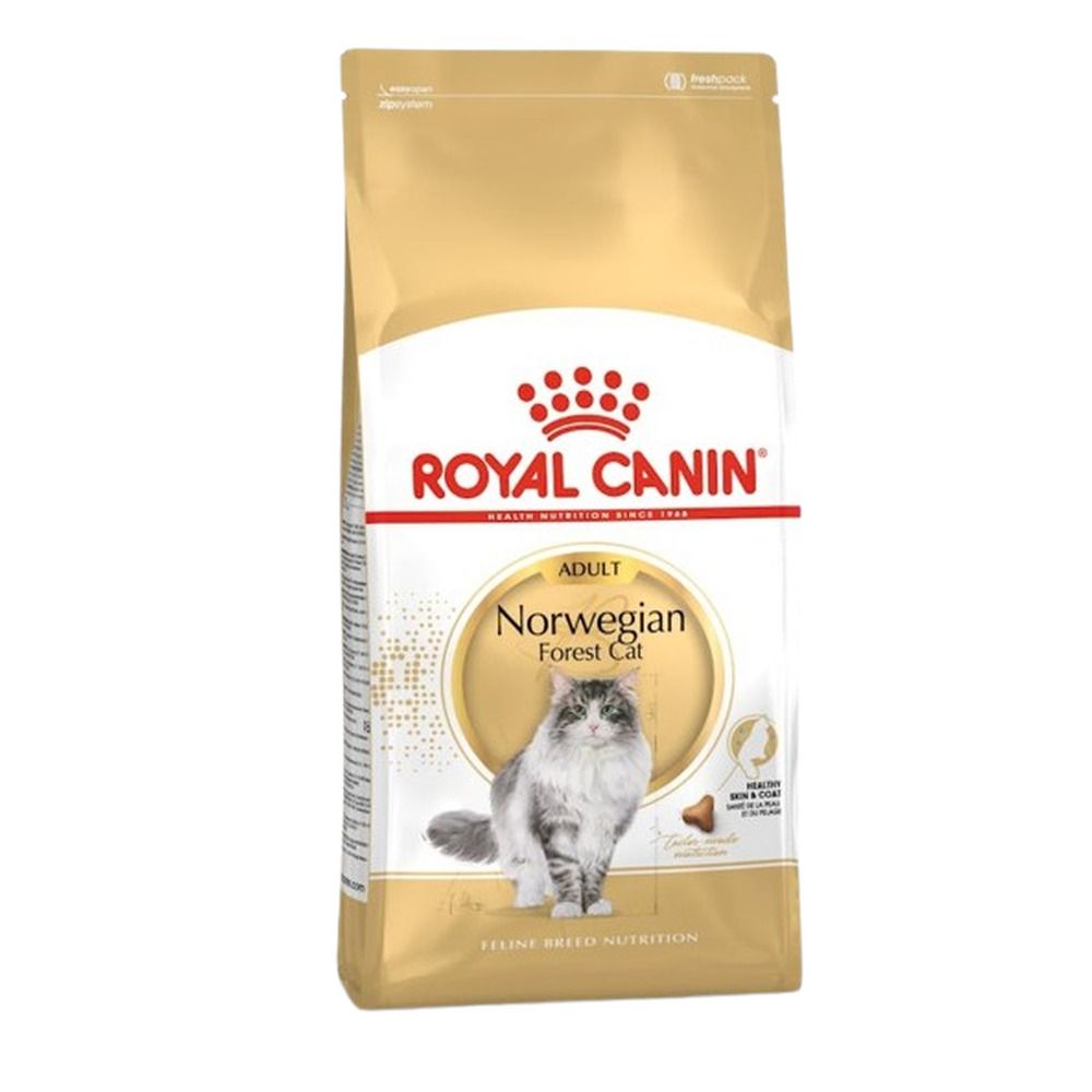 Royal Canin Norwegian Forest Cat droogvoer zak, 10 kg, met kattenafbeelding.