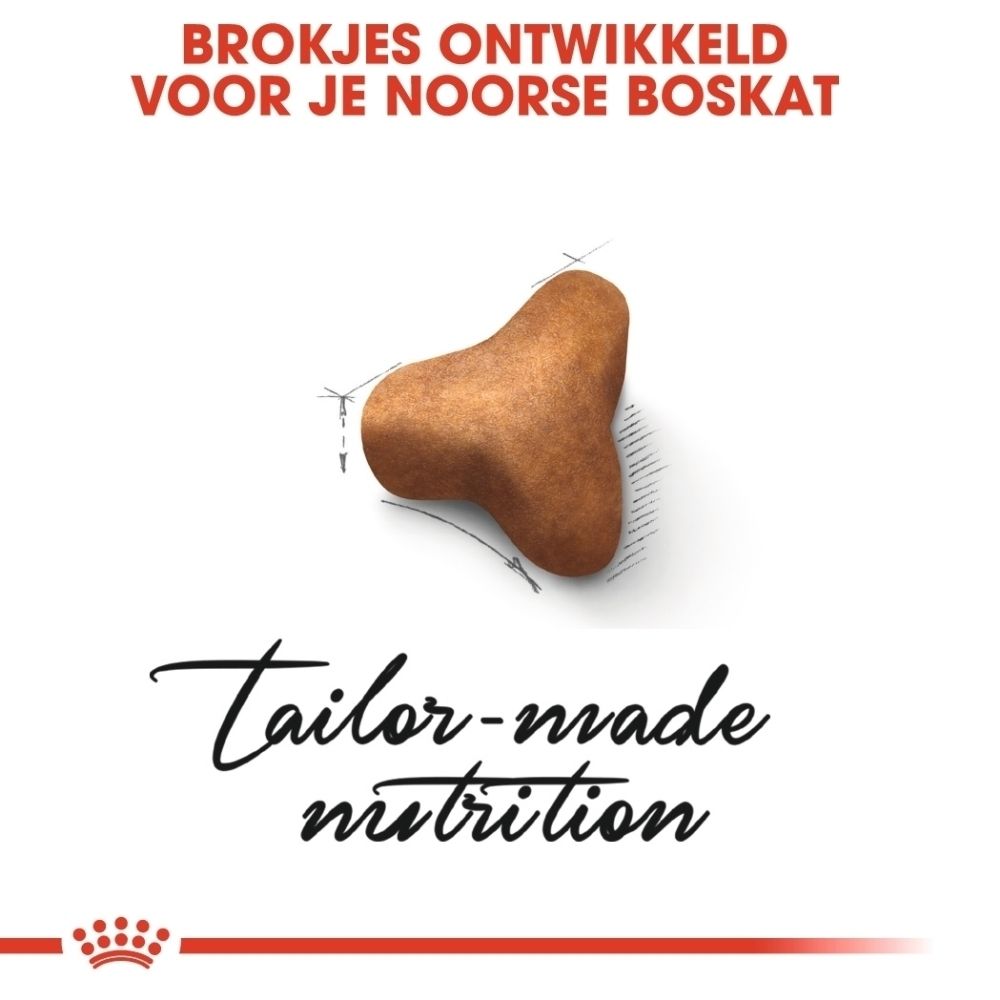 Een enkele, bruine, getextureerde kattenbrok in driehoekige vorm.