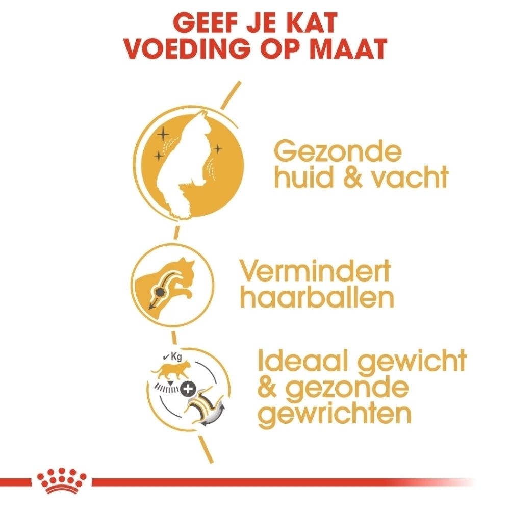 Grafiek met drie iconen die voordelen van kattenvoer benadrukken: gezonde huid, minder haarballen, ideaal gewicht.