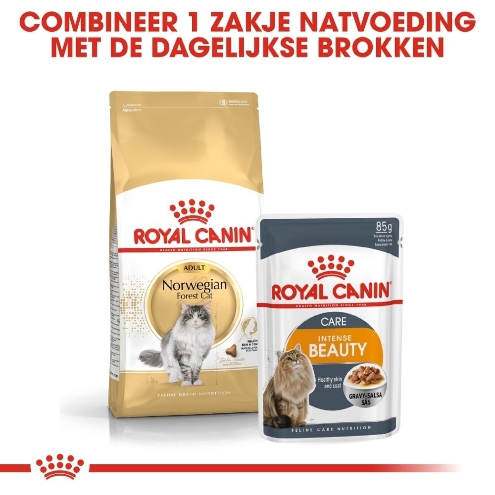 Twee verpakkingen Royal Canin kattenvoer: een grote gouden zak voor Norwegian Forest Cat en een klein grijs zakje voor Intense Beauty.