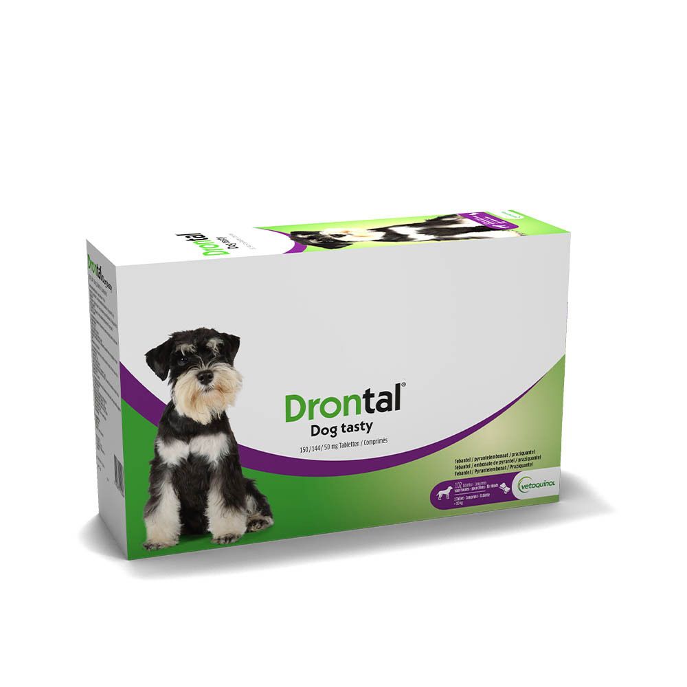 Emballage Drontal Dog Tasty. Boîte blanche avec accents verts, nom du produit et chien. Logo Bayer visible.