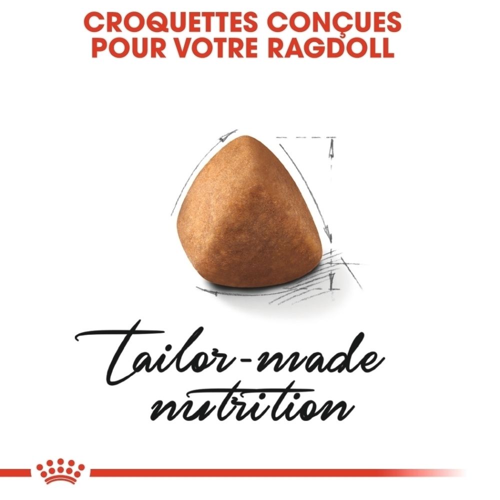 Une seule croquette brune avec des dessins techniques en arrière-plan.