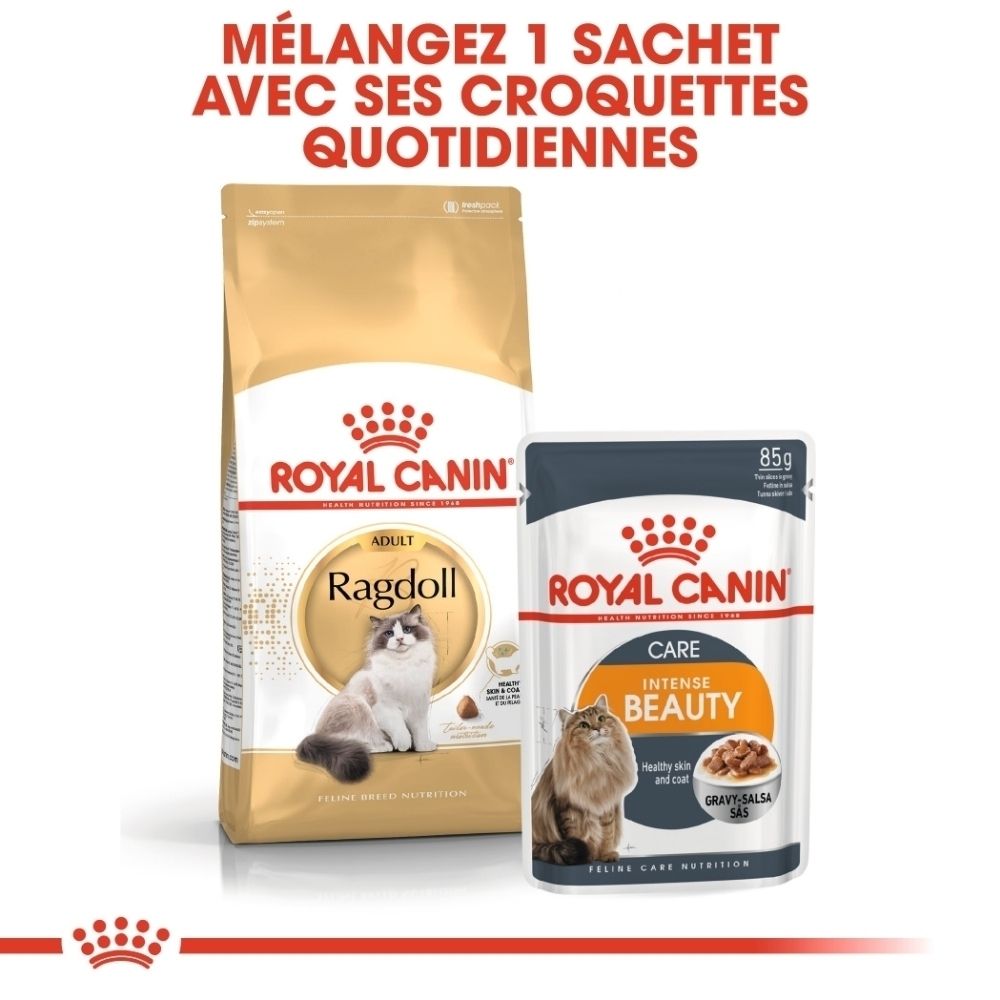 Croquettes Royal Canin Ragdoll et pâtée Intense Beauty pour chats.
