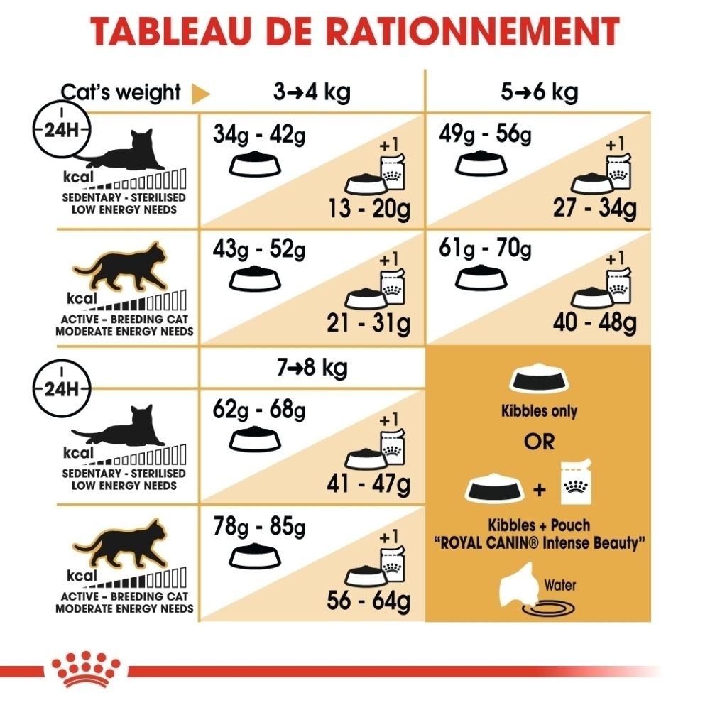 Tableau de rationnement pour chats selon le poids et le niveau d'activité, indiquant les quantités de croquettes et de nourriture humide.
