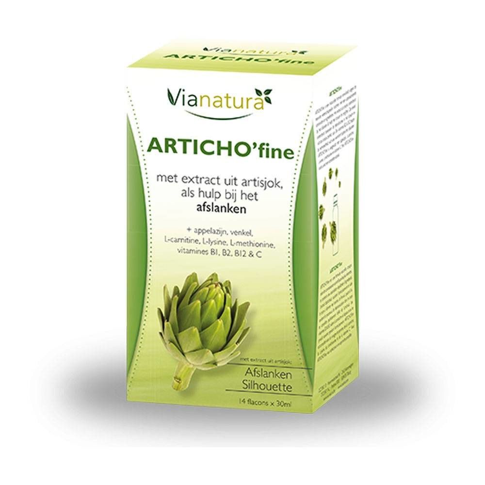 ViaNatura Articho Fine