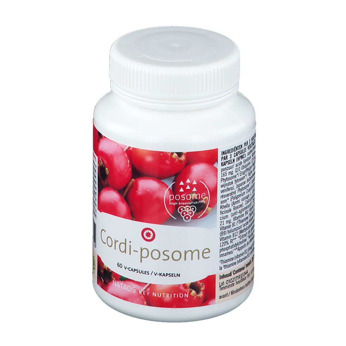 Cordi-Posome