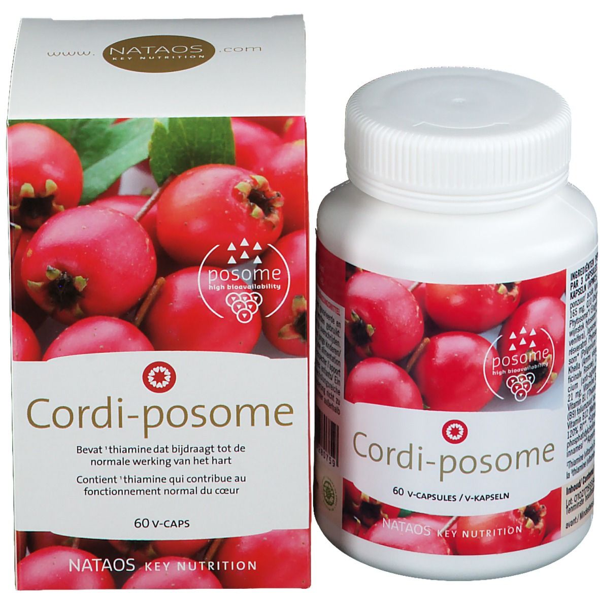 Cordi-Posome