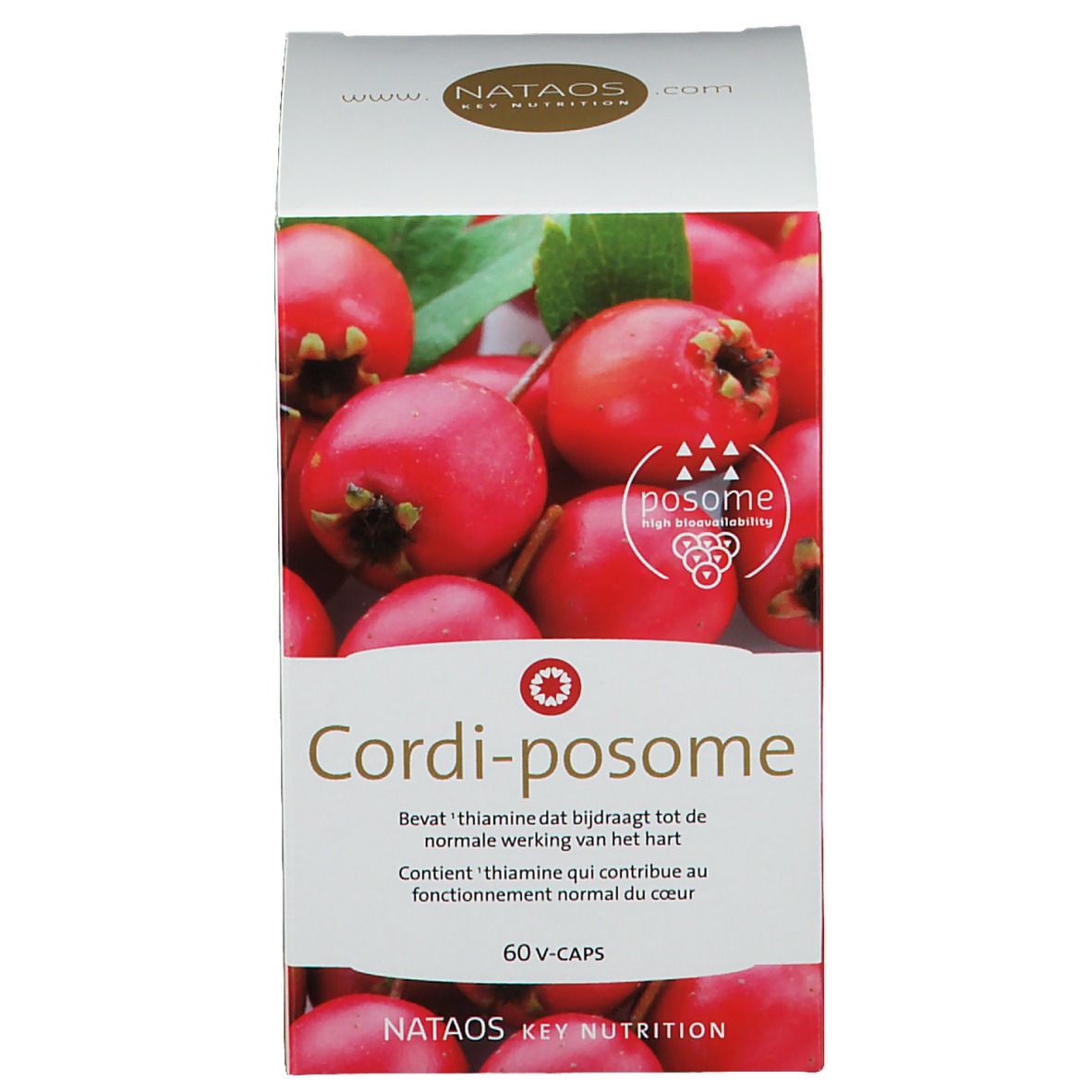 Cordi-Posome